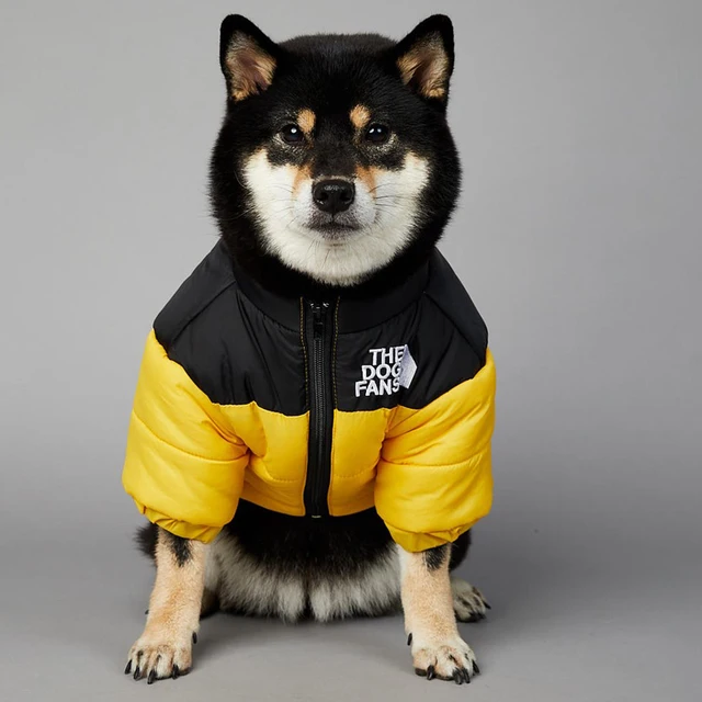 Dog Face Jacket newworldofwatces