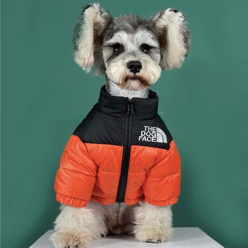 Dog Face Jacket newworldofwatces