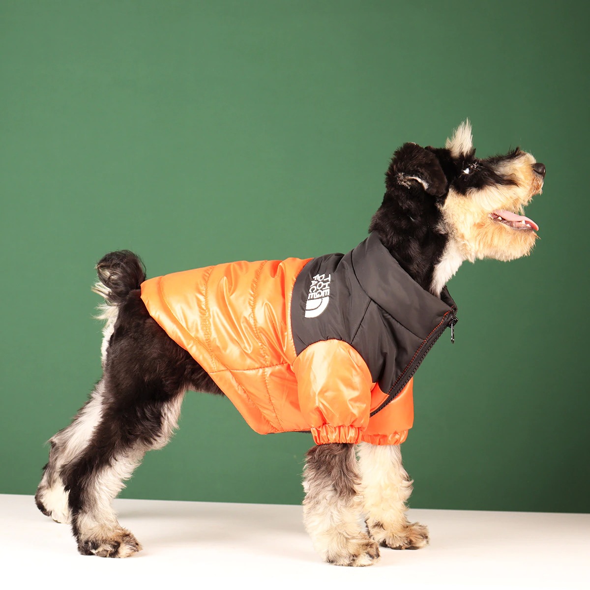 Dog Face Jacket newworldofwatces