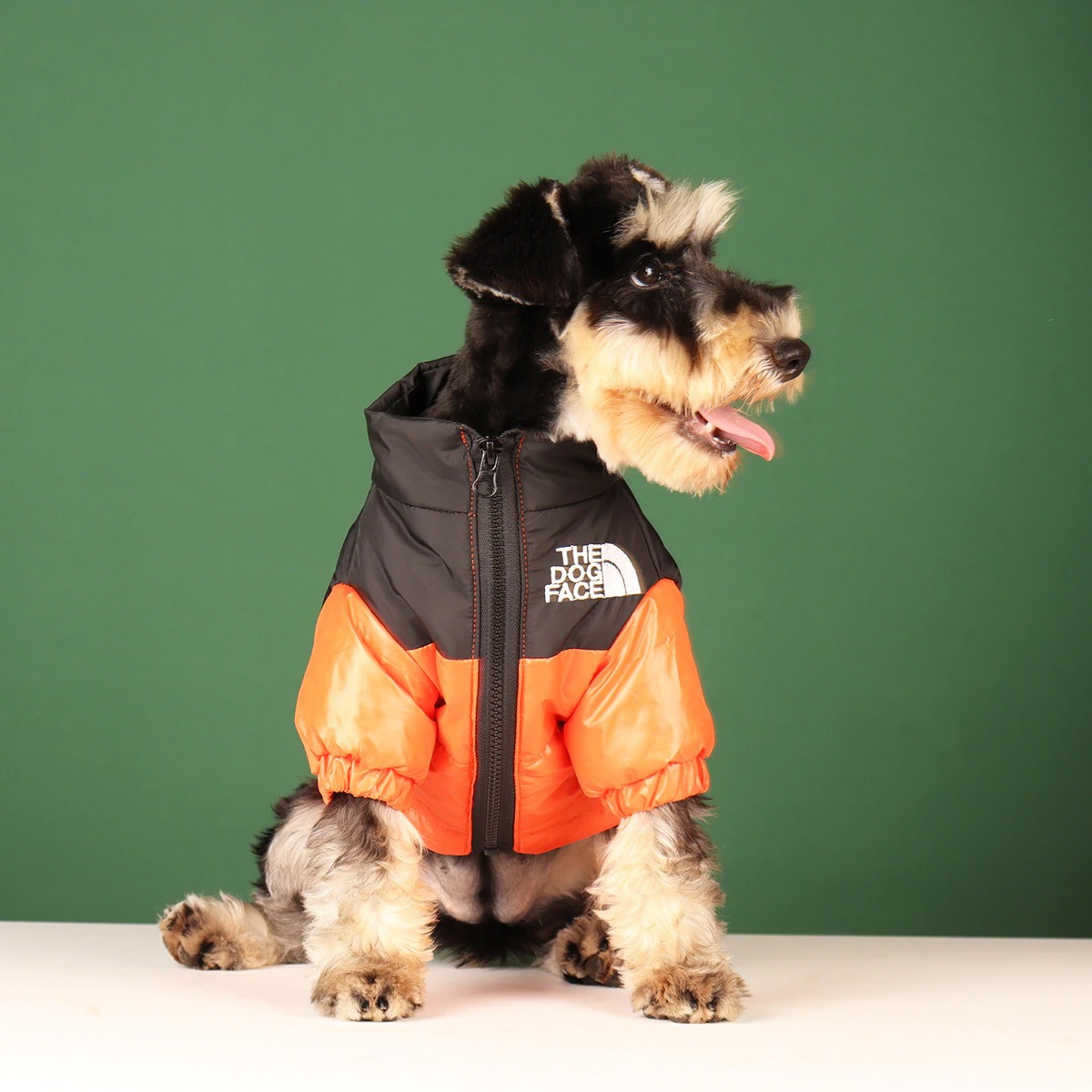 Dog Face Jacket newworldofwatces